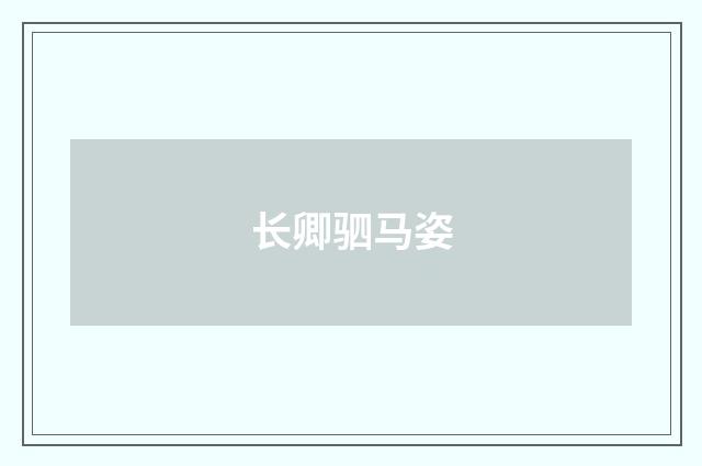 长卿驷马姿