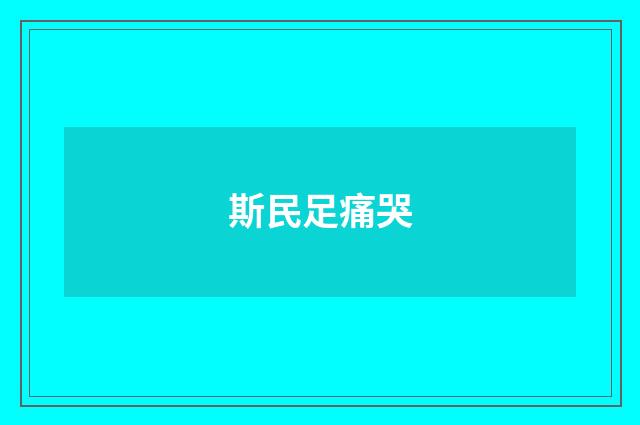 斯民足痛哭