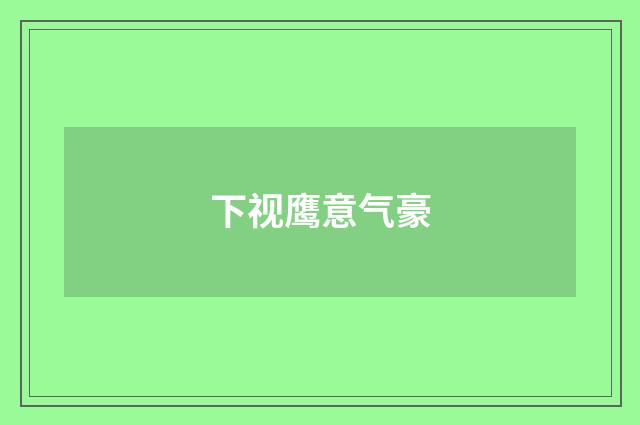 下视鹰意气豪