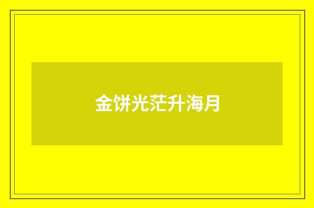 金饼光茫升海月