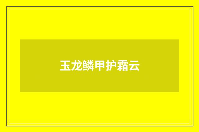 玉龙鳞甲护霜云