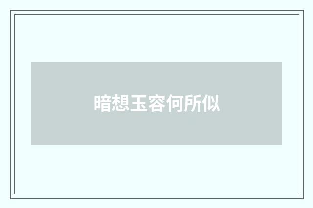 暗想玉容何所似