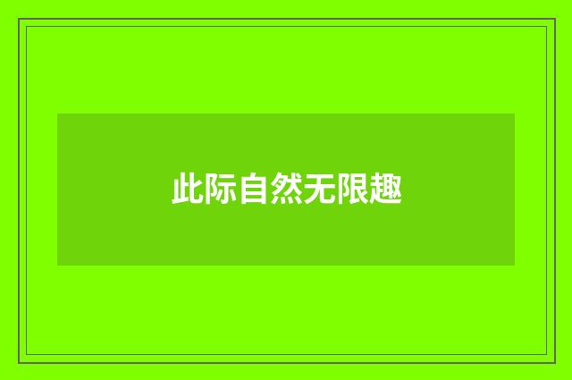 此际自然无限趣