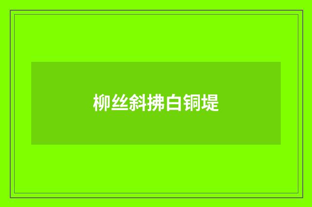 柳丝斜拂白铜堤