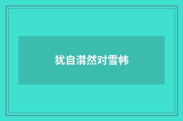 犹自潸然对雪帏