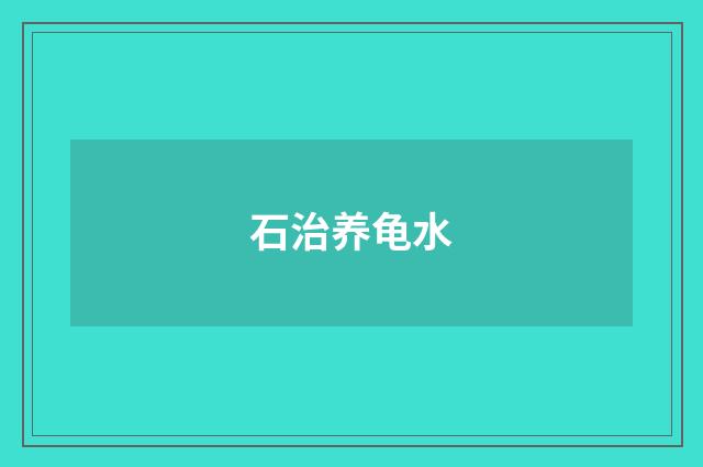 石治养龟水
