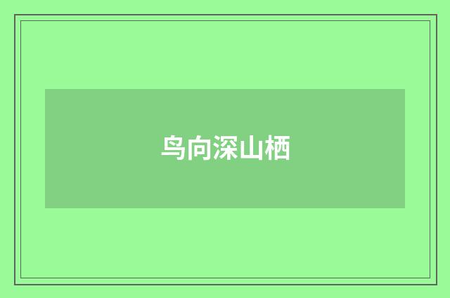 鸟向深山栖