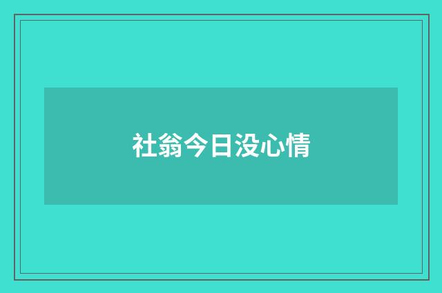 社翁今日没心情