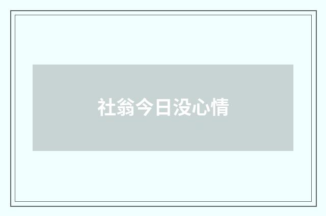 社翁今日没心情