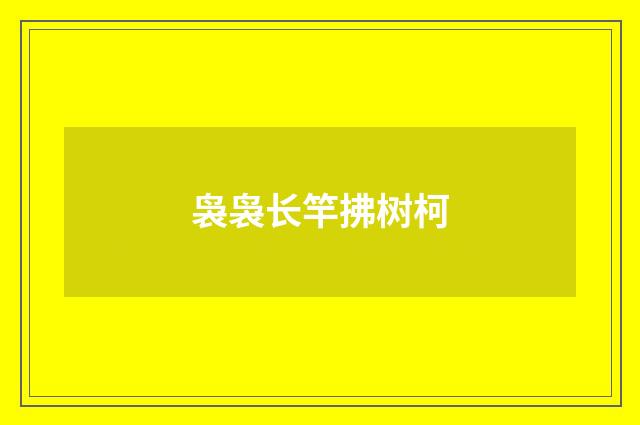 袅袅长竿拂树柯