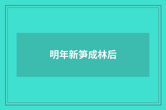 明年新笋成林后