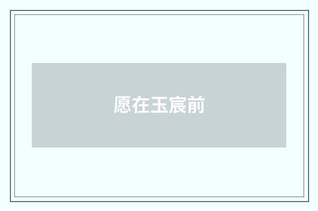 愿在玉宸前