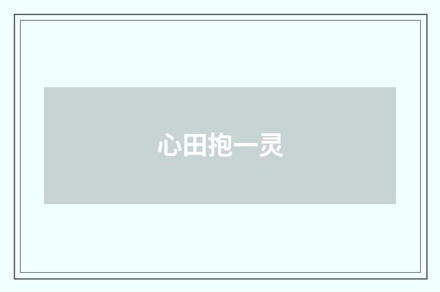 心田抱一灵