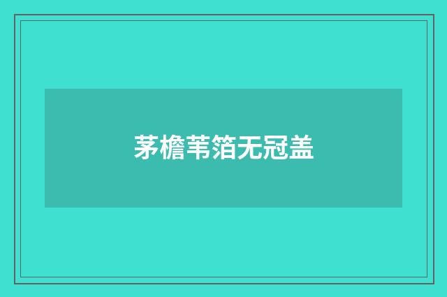 茅檐苇箔无冠盖