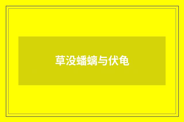草没蟠螭与伏龟