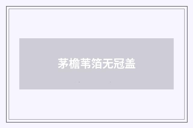 茅檐苇箔无冠盖