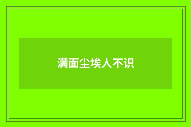 满面尘埃人不识