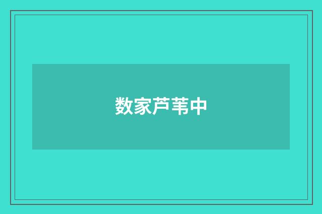 数家芦苇中
