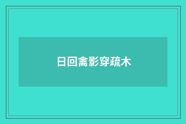 日回禽影穿疏木