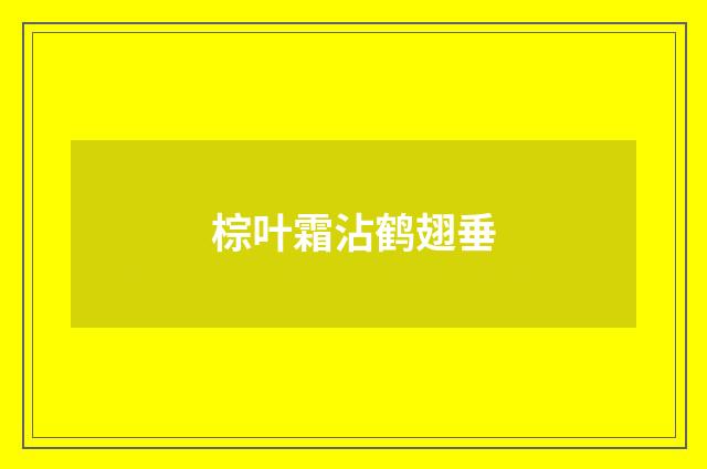 棕叶霜沾鹤翅垂