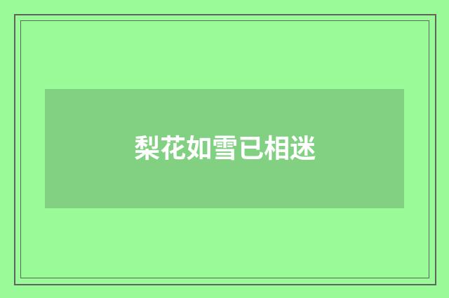梨花如雪已相迷