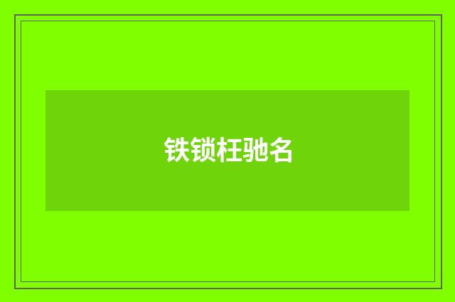 铁锁枉驰名