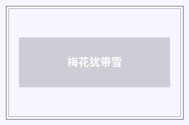 梅花犹带雪
