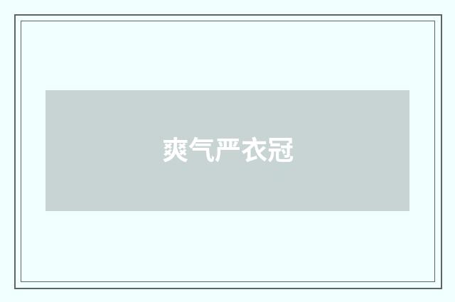 爽气严衣冠