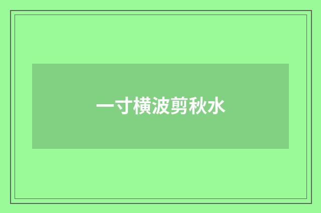 一寸横波剪秋水