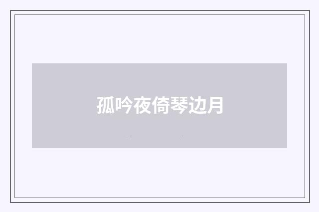 孤吟夜倚琴边月