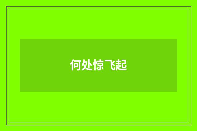 何处惊飞起