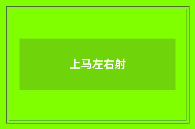 上马左右射