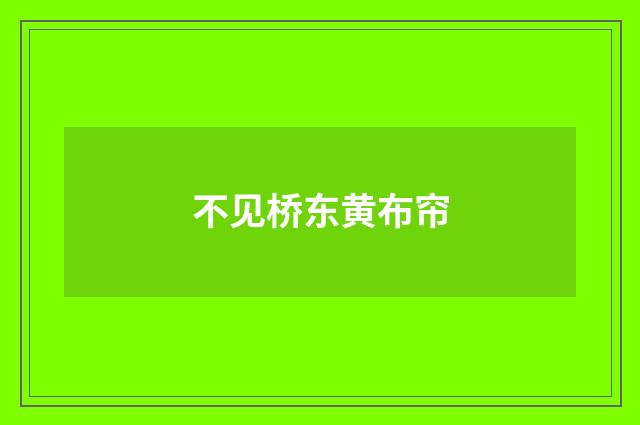 不见桥东黄布帘