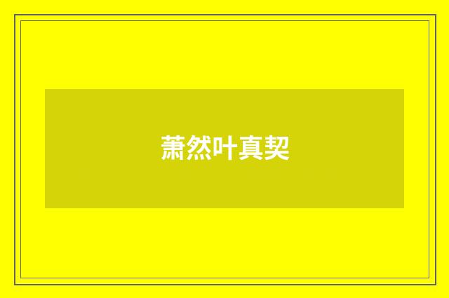 萧然叶真契
