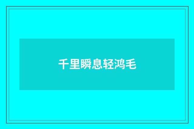 千里瞬息轻鸿毛