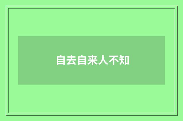 自去自来人不知
