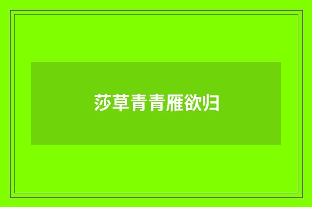 莎草青青雁欲归