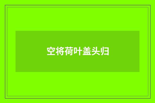 空将荷叶盖头归