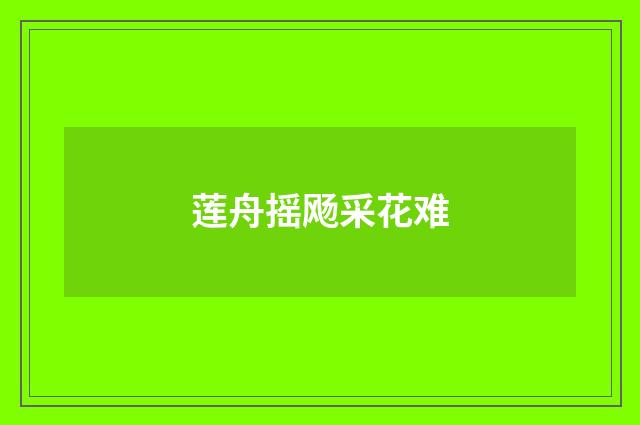 莲舟摇飏采花难