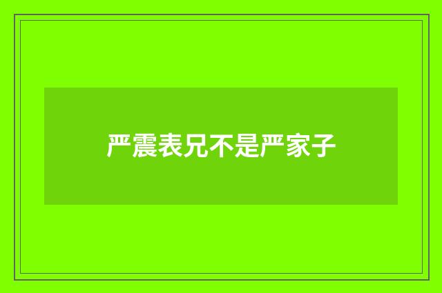 严震表兄不是严家子