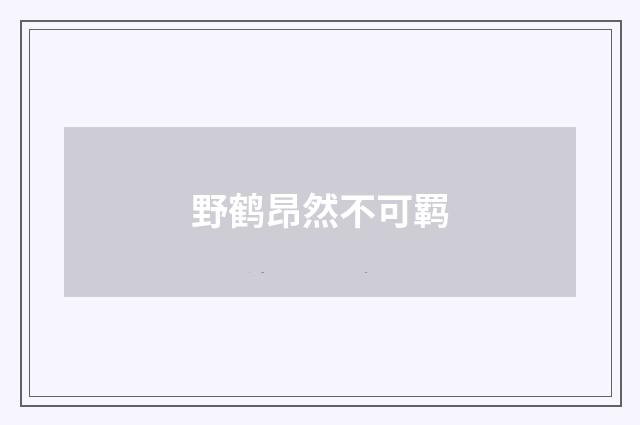 野鹤昂然不可羁