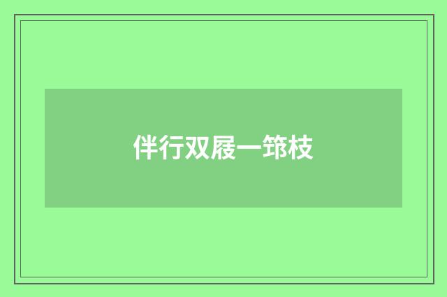 伴行双屐一筇枝