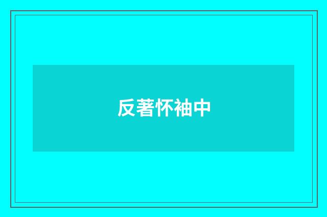 反著怀袖中