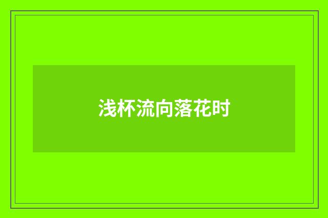 浅杯流向落花时