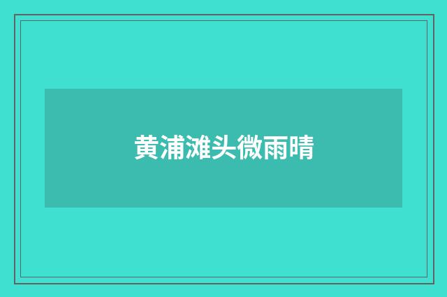 黄浦滩头微雨晴