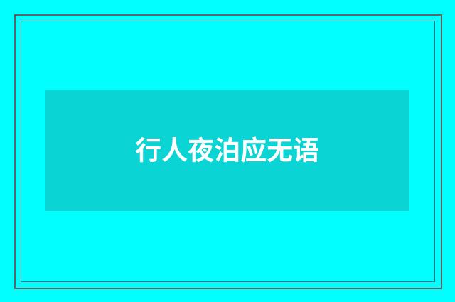 行人夜泊应无语