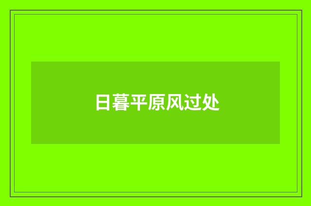 日暮平原风过处