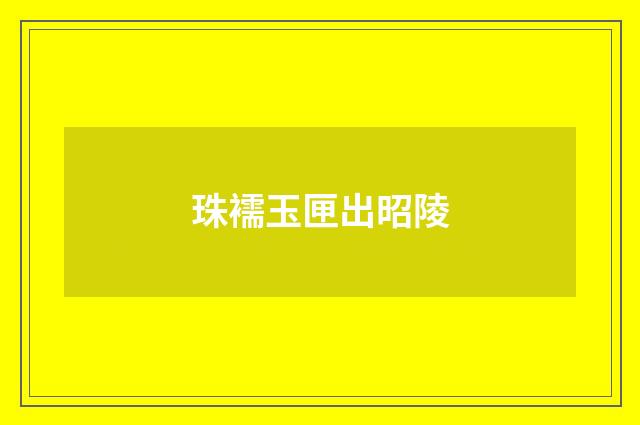 珠襦玉匣出昭陵