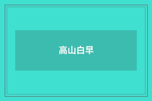 高山白早
