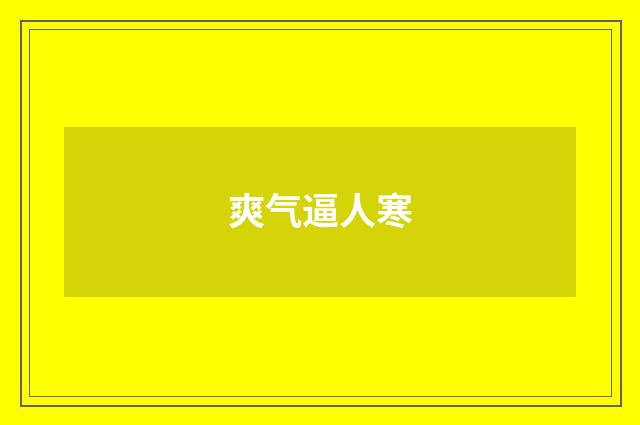 爽气逼人寒